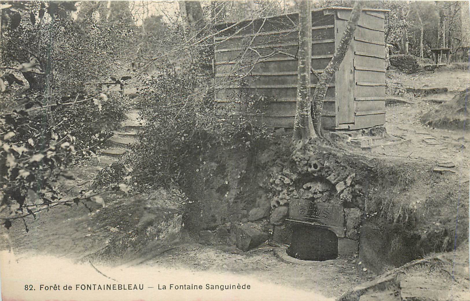 Wald von FONTAINEBLEAU — La Fontaine Sanguinède — Verlag nicht sichtbar, Seriennummer 82